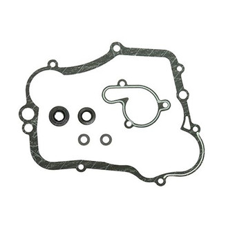 Psychic Motorsports® - Waterpump Repair Kit