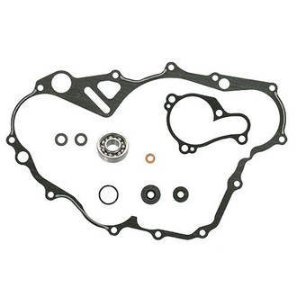 Psychic Motorsports® - Waterpump Repair Kit