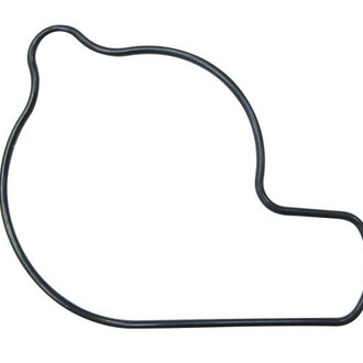 Psychic Motorsports® - Water Pump Cover Gasket