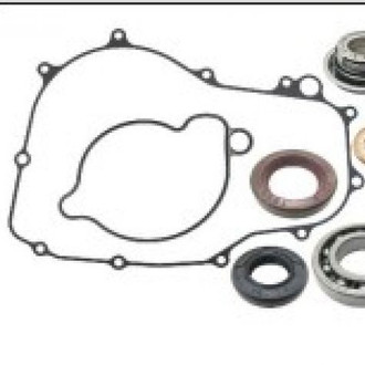 Psychic Motorsports® - Water Pump Repair Kit