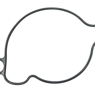Psychic Motorsports® - Water Pump Cover Gasket