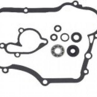 Psychic Motorsports® - Water Pump Repair Kit