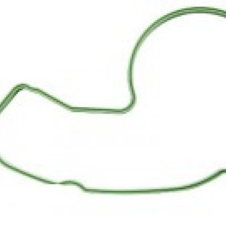 Psychic Motorsports® - Water Pump Cover Gasket