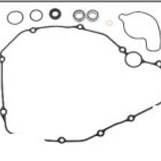 Psychic Motorsports® - Water Pump Repair Kit