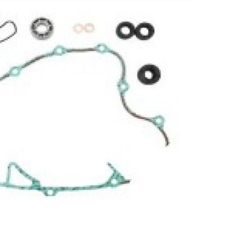 Psychic Motorsports® - Water Pump Repair Kit