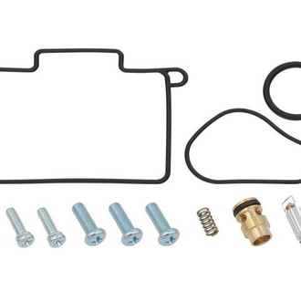 Psychic Motorsports® - Carburetor Rebuild Kit