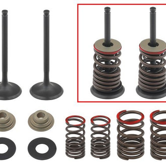Psychic Motorsports® - Exhaust Valve Kit
