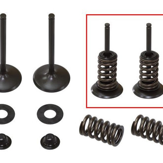 Psychic Motorsports® - Intake Valve Kit
