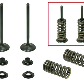 Psychic Motorsports® - Exhaust Valve Kit