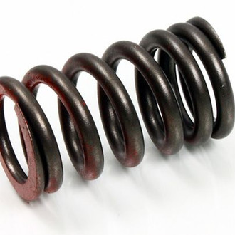Psychic Motorsports® - Exhaust Valve Spring