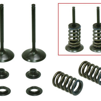Psychic Motorsports® - Intake Valve Kit