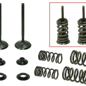 Psychic Motorsports® - Exhaust Valve Kit