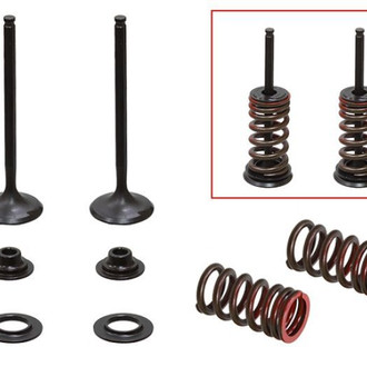 Psychic Motorsports® - Exhaust Valve Kit