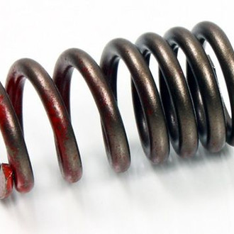 Psychic Motorsports® - Exhaust Valve Spring