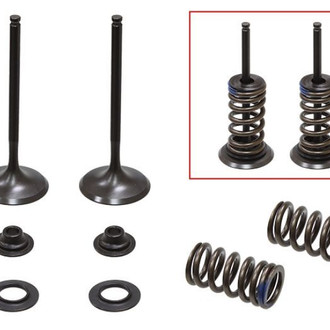 Psychic Motorsports® - Intake Valve Kit