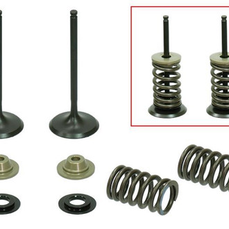 Psychic Motorsports® - Intake Valve Kit