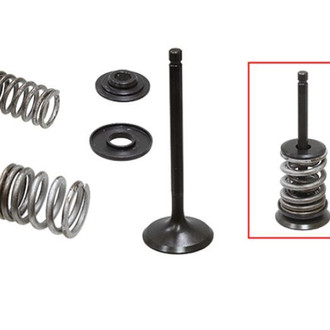 Psychic Motorsports® - Intake Valve Kit