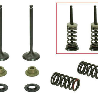 Psychic Motorsports® - Exhaust Valve Kit