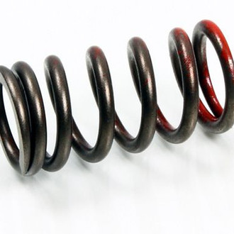 Psychic Motorsports® - Exhaust Valve Spring