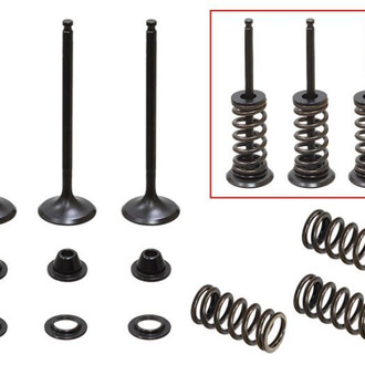 Psychic Motorsports® - Intake Valve Kit