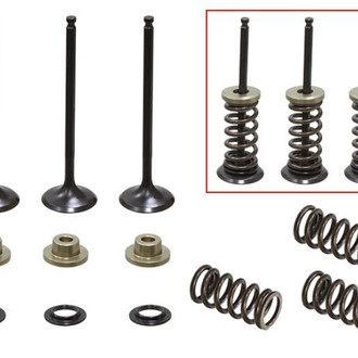Psychic Motorsports® - Intake Valve Kit