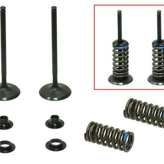 Psychic Motorsports® - Intake Valve Kit