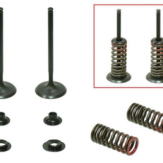 Psychic Motorsports® - Intake Valve Kit