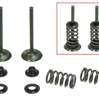 Psychic Motorsports® - Exhaust Valve Kit