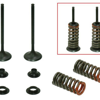Psychic Motorsports® - Exhaust Valve Kit