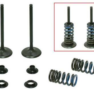 Psychic Motorsports® - Intake Valve Kit