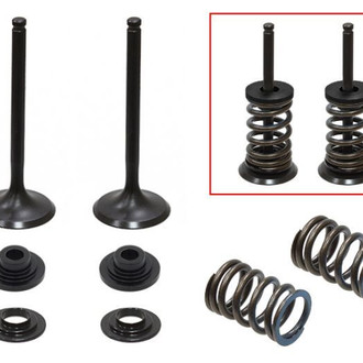 Psychic Motorsports® - Exhaust Valve Kit