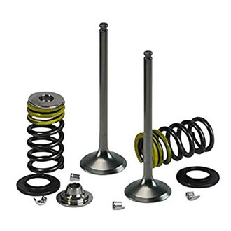 Psychic Motorsports® - Intake Valve Kit