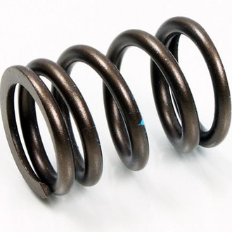 Psychic Motorsports® - Intake Valve Spring
