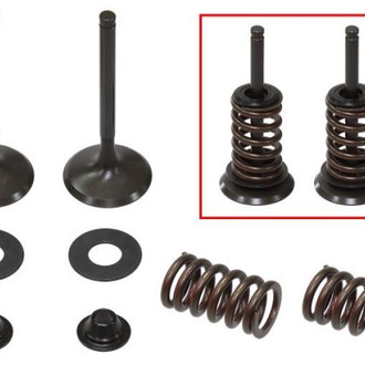 Psychic Motorsports® - Exhaust Valve Kit