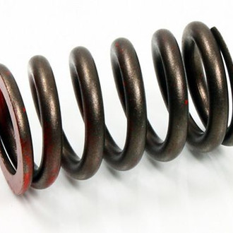 Psychic Motorsports® - Exhaust Valve Spring