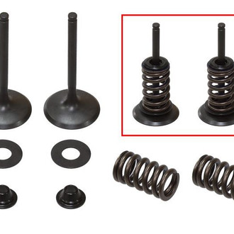 Psychic Motorsports® - Intake Valve Kit