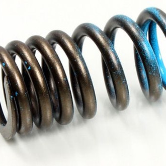 Psychic Motorsports® - Intake Valve Spring