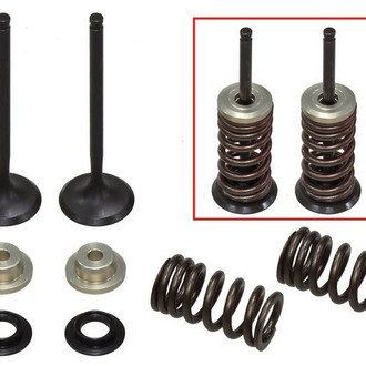 Psychic Motorsports® - Exhaust Valve Kit