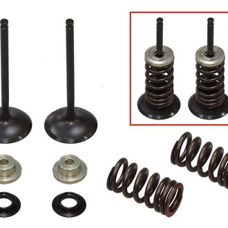 Psychic Motorsports® - Intake Valve Kit