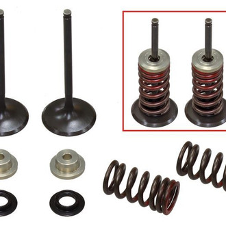 Psychic Motorsports® - Intake Valve Kit