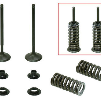Psychic Motorsports® - Exhaust Valve Kit