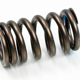 Psychic Motorsports® - Exhaust Valve Spring