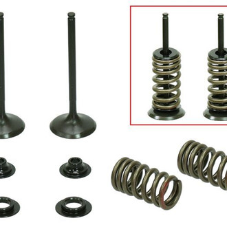Psychic Motorsports® - Exhaust Valve Kit