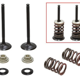 Psychic Motorsports® - Exhaust Valve Kit