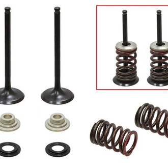 Psychic Motorsports® - Exhaust Valve Kit