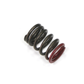 Psychic Motorsports® - Exhaust Spring
