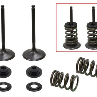 Psychic Motorsports® - Intake Valve Kit