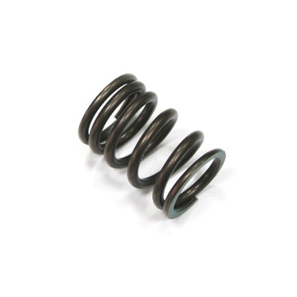 Psychic Motorsports® - Intake Spring