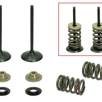 Psychic Motorsports® - Intake Valve Kit