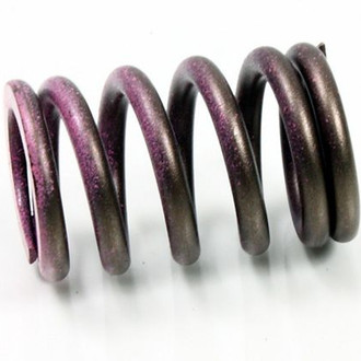 Psychic Motorsports® - Intake Spring
